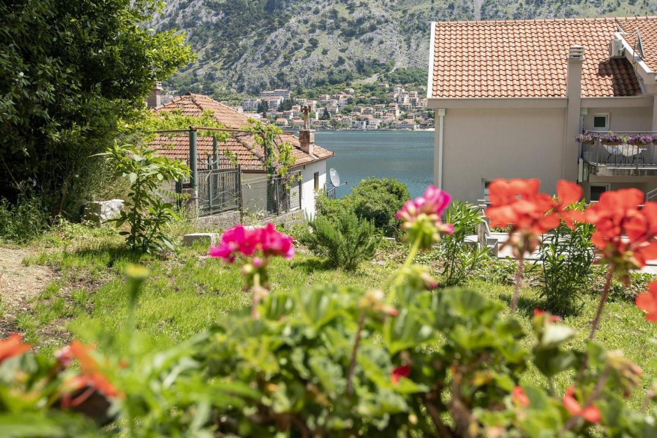Muo Sea Front Apartments Kotor Exterior photo